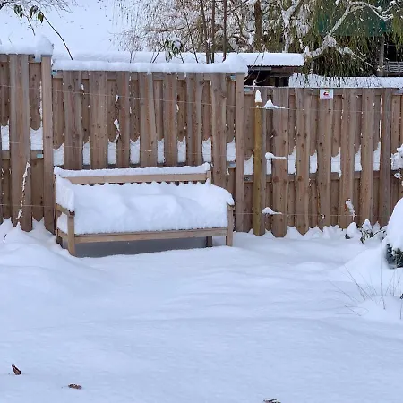 Historical Rosalie *