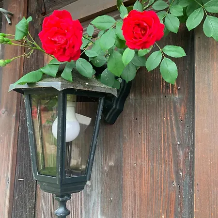 Feriehus Historical Rosalie *