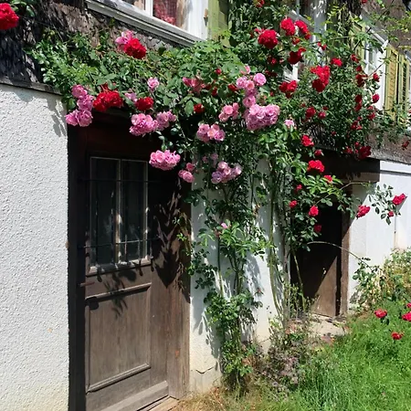 Historical Rosalie بيت للعطل Brunnadern