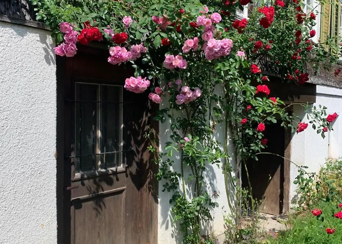 Historical Rosalie Dom wakacyjny Brunnadern