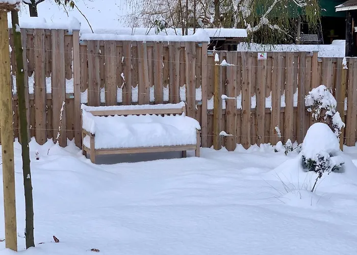 Historical Rosalie *